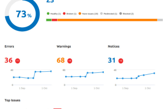 perform an in depth technical SEO audit