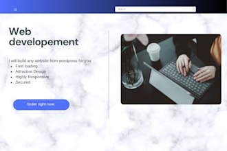 do web design and make professional website