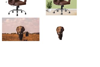 remove your picture background