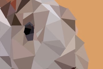 create professional polygonal low poly portrait