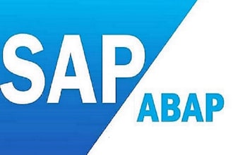 providing sap abap remotely services