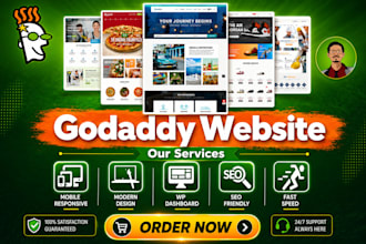 build professional godaddy website