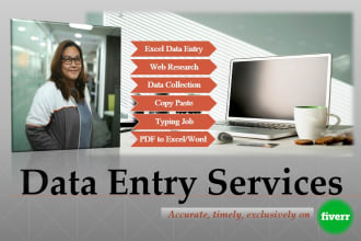 do data entry, copy paste, excel data entry, web research, typing work