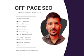 provide monthly pro level off page SEO link building