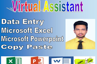 be your virtual assistant for data entry, data mining, web research, copy paste