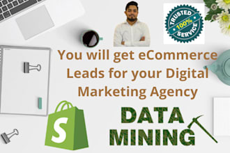 deliver ecommerce store leads for your business