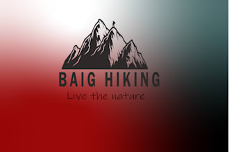 provide you best logo and branding syle guid