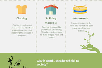 design a creative and original infographic image