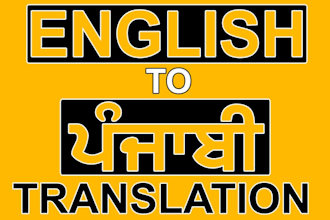 accurately translate english to punjabi or hindi for your project