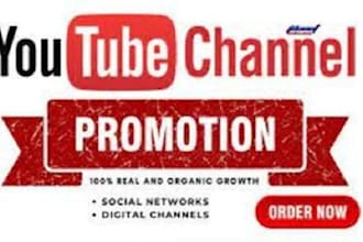 do professionally and organic you tube channel promotion