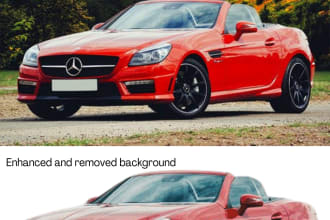 remove background 25 images with white or transparent