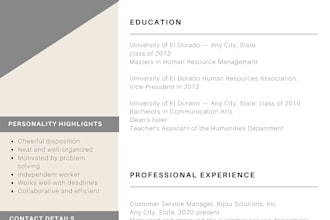 provide professional resume or cv writing services