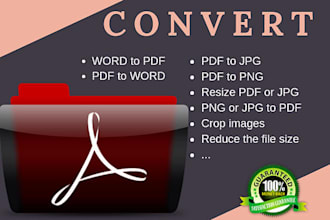 convert PDF to word
