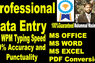 data entry for you with cent percent accuracy