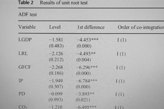 do data analysis and interpretation of economics on eviews and stata