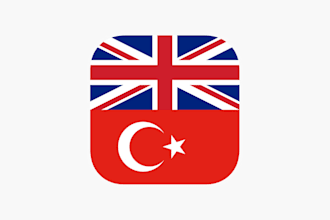do professional translate english to turkish