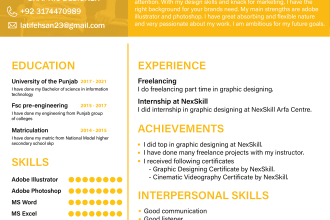 design professional attractive resume, CV in 24 hrs