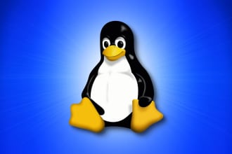 setup everything that linux or windows system administrators do