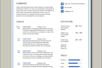 write a high quality professional resume