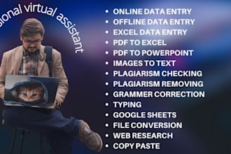 be your virtual assistant for data entry web scraping etc