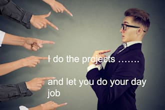 get your project over the line, on time and on budget