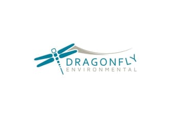 design dragonfly environmental logo in 1 day