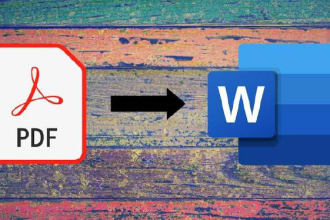 convert pdf to word