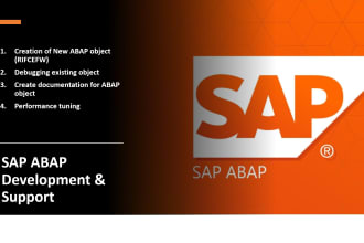 provide sap abap, odata, idoc, badi, rfc, bapi, ui5 support
