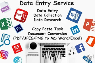 do data entery, typing, copy paste and translation option