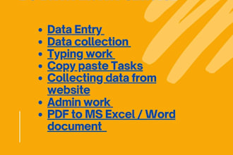 do data entry, copy paste tasks, typing