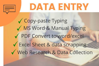 do data entry,web scraping,file conversion and copy paste
