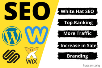 provide pro SEO services for worpress, wix, weebly, and squarespace website