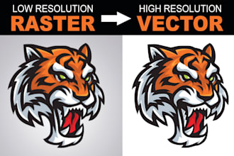 do vector tracing or redraw any image