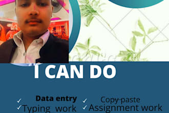 do fastest data entry entry, typing work and copy paste