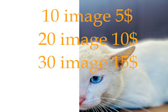 remove background from image
