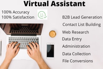 be your virtual assistant for data entry, web research