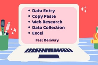 do accurate and fastest data entry in one day