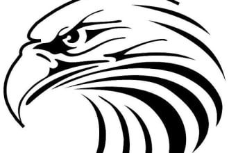 do an awosome character professional for you logo cartoon pic etc