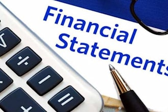 provide financial statements, ratio analysis and accounting
