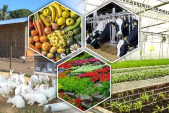 write a farming agriculture business plan for startups
