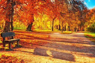 edit photos with adobe photoshop