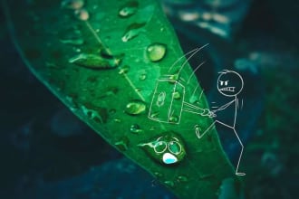 do colour change and color correction anything in the photos