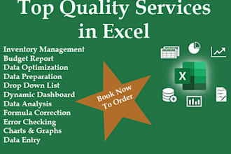 design your business and personal  budget report in excel