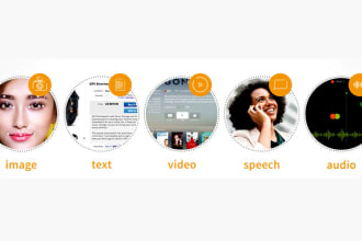 give explicit data annotation and labeling with 98 percent accuracy