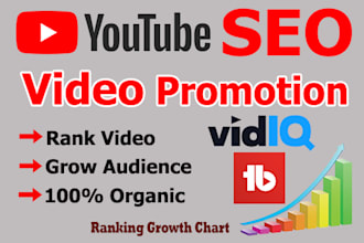 do youtube channel promotion and SEO by vidiq
