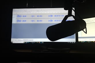 record any spoken word