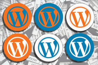 fix any issue in wordpress