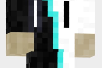 skins personalizadas de minecraft muy barato