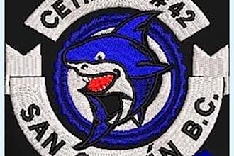 im going  digitizing your logo design for embroidery