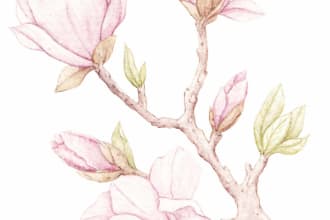 paint digital watercolor botanical illustration